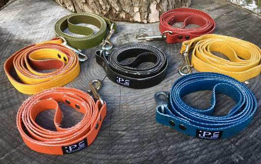 Dog Leashes