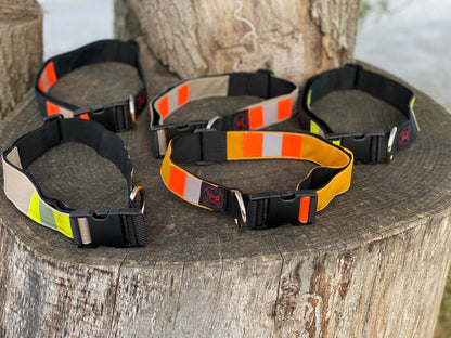 Dog Collars
