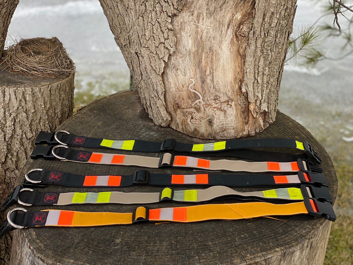 Dog Collars