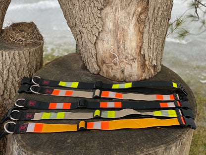 Dog Collars