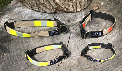 Dog Collars